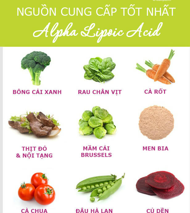 alpha lipoic acid